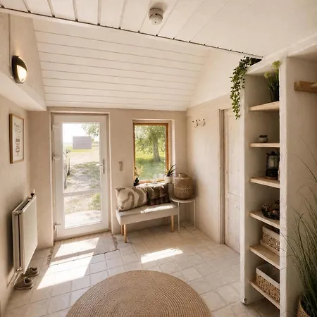 Alpaca Bed & Fields Homestay *