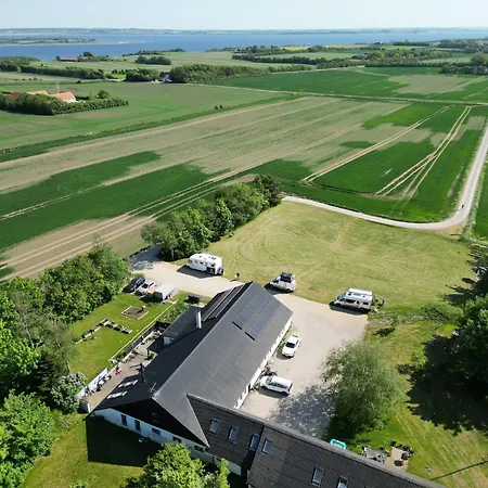 Alpaca Bed & Fields Homestay